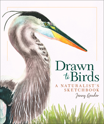 Image for Drawn to Birds: A Naturalist's Sketchbook (Jenny Geuder Art)
