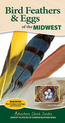 Bird Feathers & Eggs of the Midwest: Identify 40 Species of Common Backyard Birds (Adventure Quick Guides)