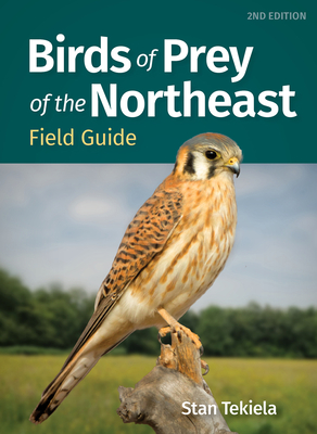 Birds of Prey of the Northeast Field Guide (Bird Identification Guides)