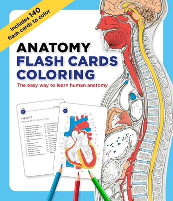 Image for Anatomy Flash Cards Coloring Anatomy Flash Cards Coloring