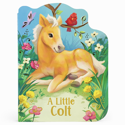 Image for A Little Colt: A Baby Horse Board Book Story A Little Colt: A Baby Horse Board Book Story