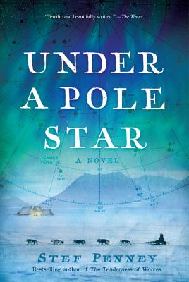 Image for Under a Pole Star Under a Pole Star