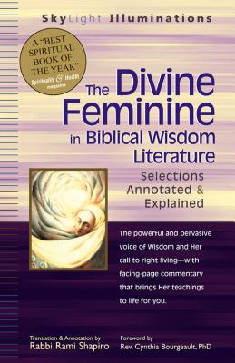 Image for The Divine Feminine in Biblical Wisdom Literature: Selections Annotated & Explained (SkyLight Illuminations) The Divine Feminine in Biblical Wisdom Literature: Selections Annotated & Explained (SkyLight Illuminations)