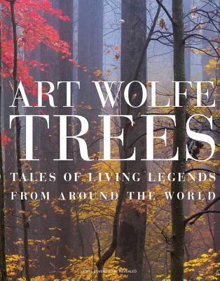 Image for Trees: Between Earth and Heaven (1)