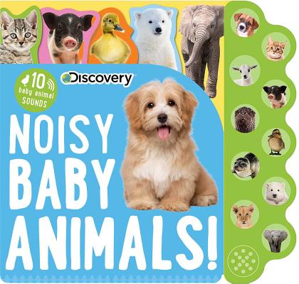 Image for Discovery: Noisy Baby Animals