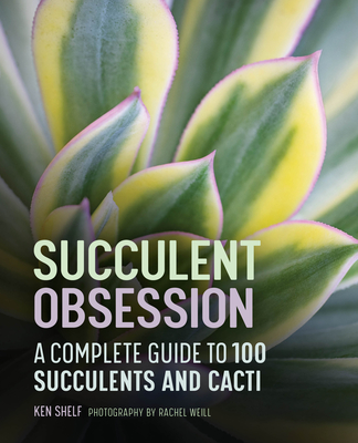 Succulent Obsession A Complete Guide
