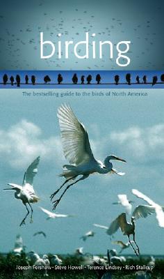 Birding