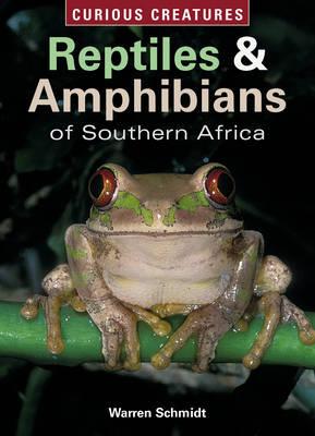 Reptiles and Amphibians of Southern Africa (Curious Creatures)