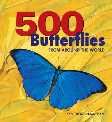 Image for 500 Butterflies: From Around the World