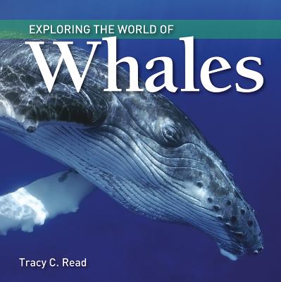 Image for Exploring the World of Whales