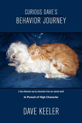 Curious Dave's Behavior Journey