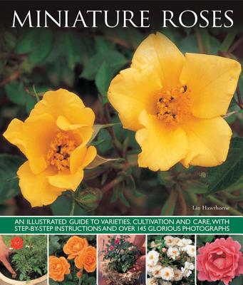 Image for Miniature Roses: An Illustrated Guide to Varieties, Cultivation and Care, with Step-by-step Instructions and Over 145 Glorious Photographs