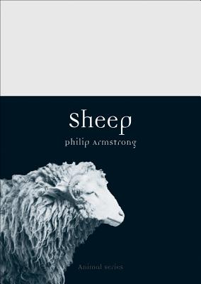 Sheep (Animal)