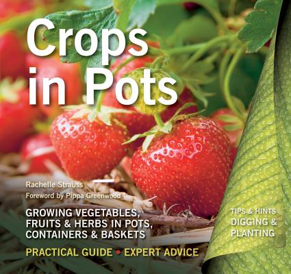 Crops in Pots: Practical Guide, Expert Advice