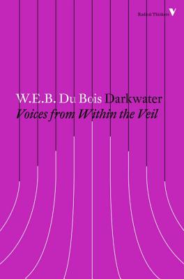 Darkwater: Voices from Within the Veil (Radical Thinkers)