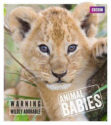 Animal Babies Barwick, Laura