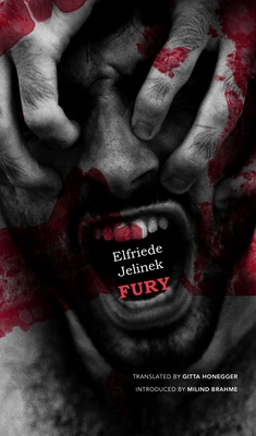 Fury (The German List)
