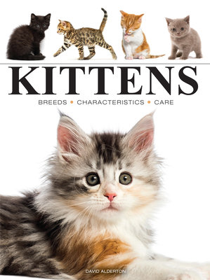 Kittens (Mini Encyclopedias)