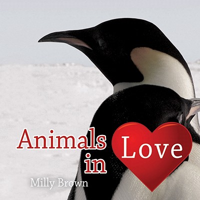 Animals in Love Brown, Milly