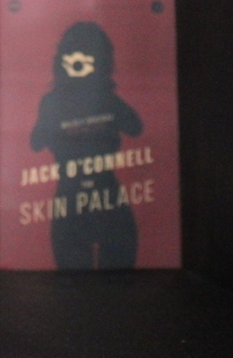 The Skin Palace