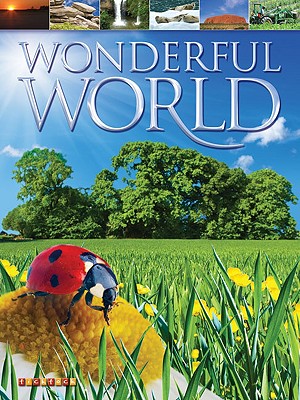 Wonderful World
