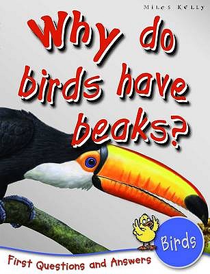 Birds: Why Do Birds Have Beaks (First Questions And Answers)