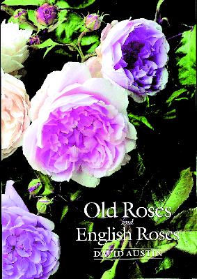 OLD ROSES AND ENGLISH ROSES