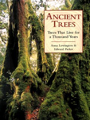 Ancient Trees: Trees That Live For 1,000 Years