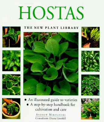 Hostas