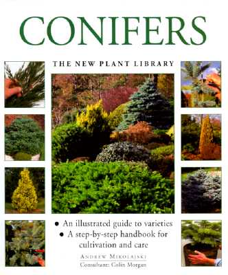 The New Plant Library Conifers; The New Plant Library Conifers