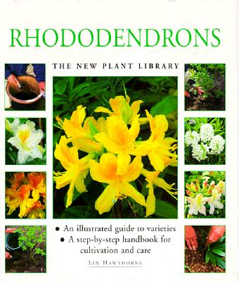 Image for Rhododendrons (The New Plant Library)
