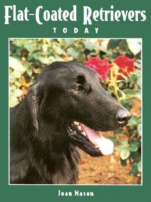 Flat Coated Retrievers