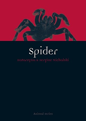 Spider (Animal)