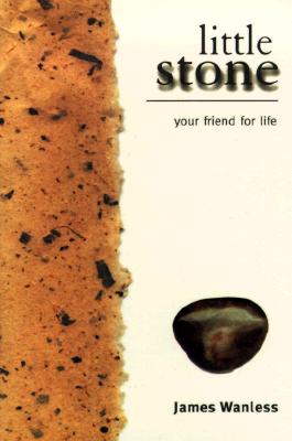 Image for Little Stone Little Stone