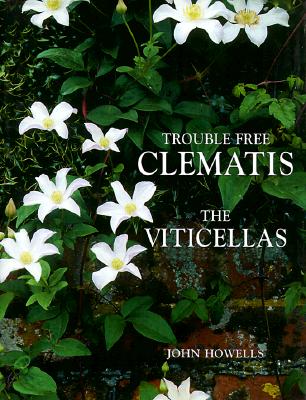 Trouble Free Clematis: The Viticellas