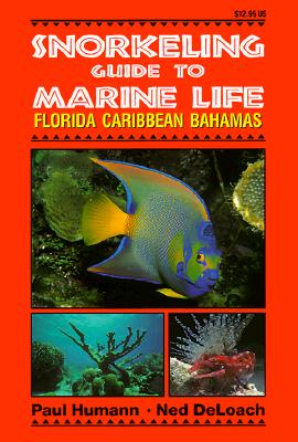 Image for Snorkeling Guide to Marine Life Florida, Caribbean, Bahamas