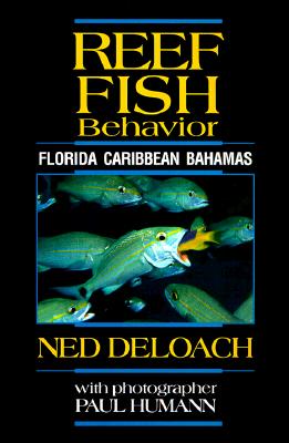 Reef Fish Behavior: Florida, Caribbean, Bahamas