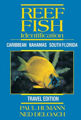 Reef Fish Identification: Caribbean Bahamas South Florida Travel Edition