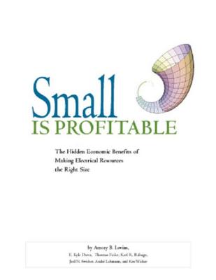 Small is Profitable: The Hidden Economic Benefits of Making Electrical Resources the Right Size