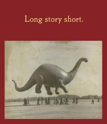 Long Story Short (FRAENKEL GALLER)