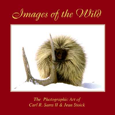 Images of the Wild: The Photographic Art of Carl R.Sams II & Jean Stoick [INSCRIBED]
