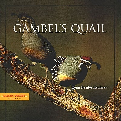 Gambel's Quail (Look West Series)