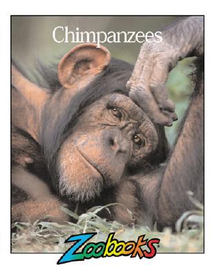 Chimpanzees (Zoobooks Series)