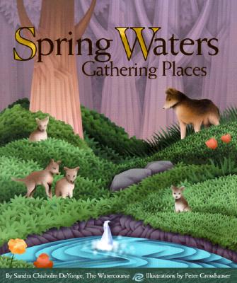Image for Spring Waters, Gathering Places