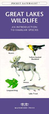 Pocket Naturalist Great Lakes Wildlife An Introduction To Familiar Species