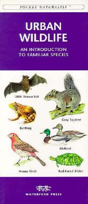 Image for Pocket Naturalist Urban Wildlife And Introduction To Familiar Species Pocket Naturalist Urban Wildlife And Introduction To Familiar Species