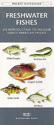 Pocket Naturalist - Freshwater Fishes