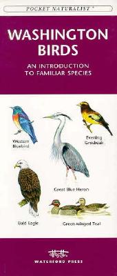 Washington Birds: An Introduction to Familiar Species