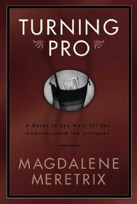 Turning Pro: a Guide to Sex Work for the Ambitious and the Intrigued