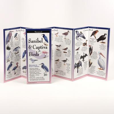 Sanibel & Captiva Birds: Folding Guide (Foldingguides)